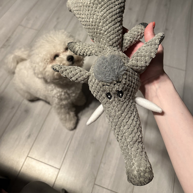 Durable Heavy Duty Dog Toy Chew