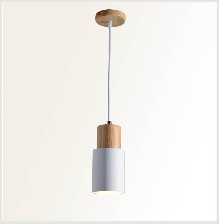 Simple Modern LED Pendant Light