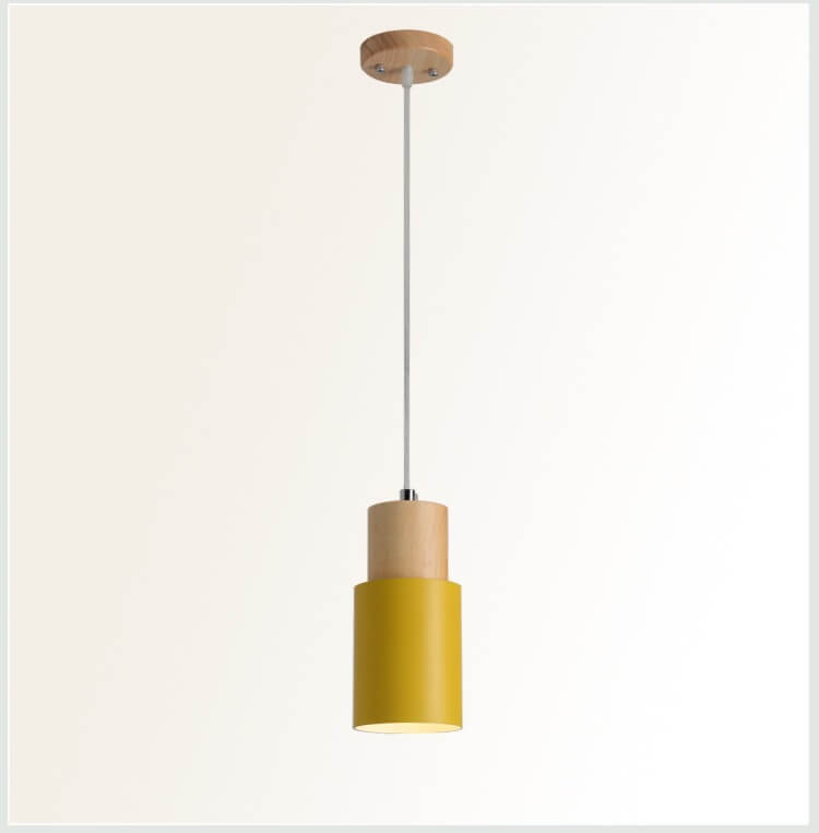 Simple Modern LED Pendant Light