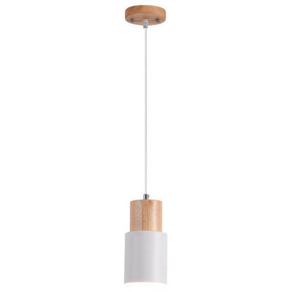 Simple Modern LED Pendant Light