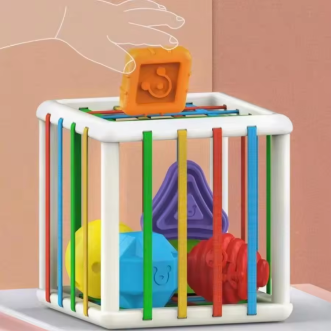 Educational Wooden Shape Sorting Toy Box