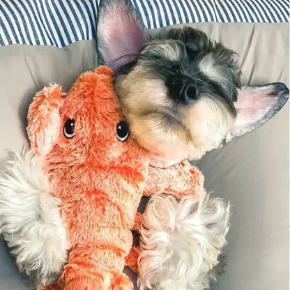 Interactive Pet Toy - Fun Sensor Dog Playmate