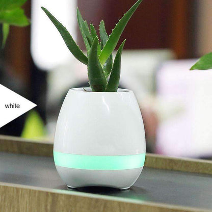Colorful Musical Planter Speaker - Befez