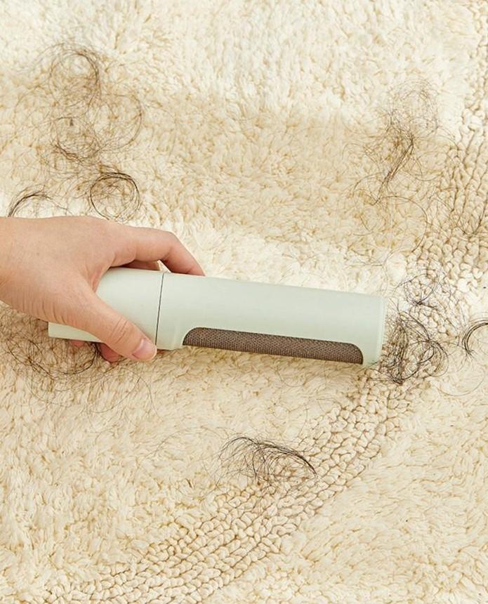 Compact Pet Hair Removal Tool Befez