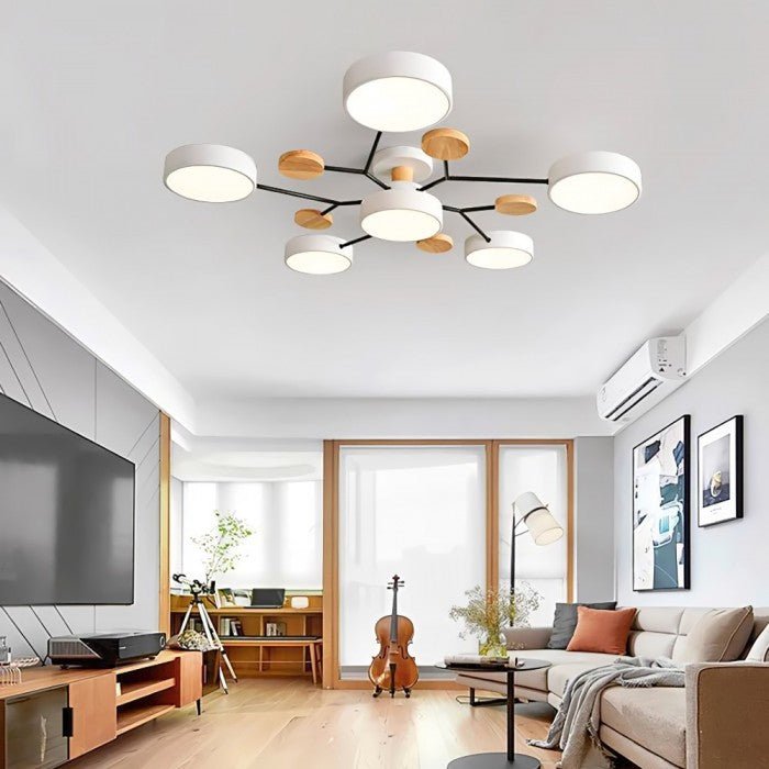 Stylish Modern LED Ceiling Light