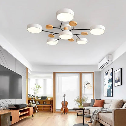 Stylish Modern LED Ceiling Light