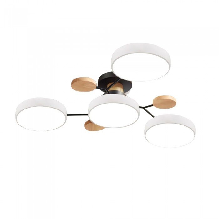 Stylish Modern LED Ceiling Light