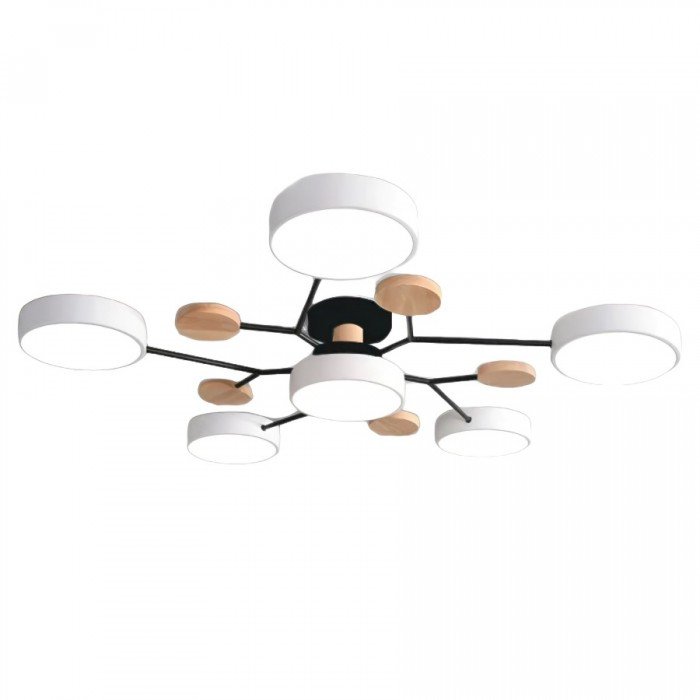Stylish Modern LED Ceiling Light