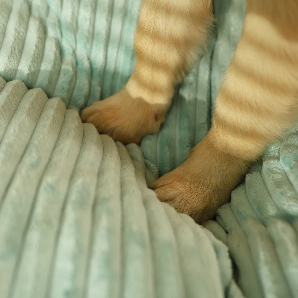 Comfortable Pet Bed with Washable Cover