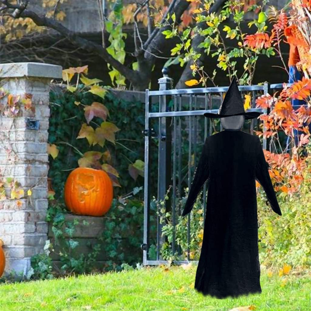 Spooky Witch Yard Decoration Stake