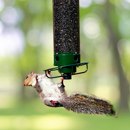 Wildlife Resistant Yard Bird Feeder - Befez