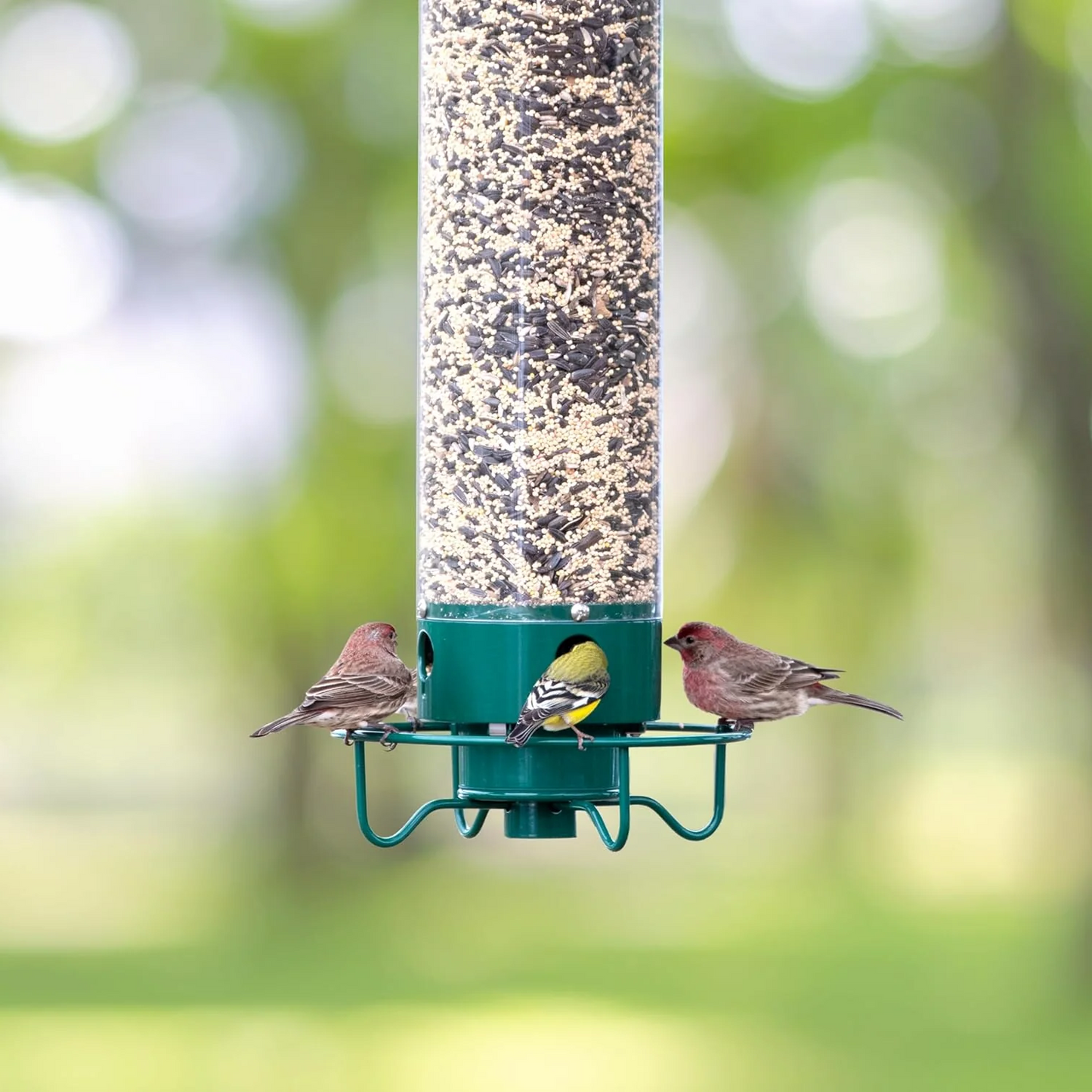 Wildlife Resistant Yard Bird Feeder