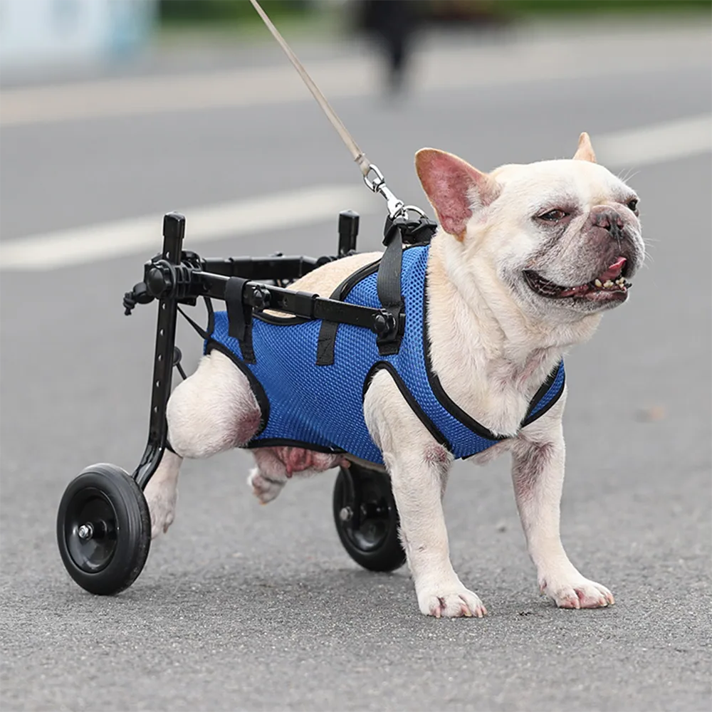Pet Wheelchair for Dogs with Hind Leg Support - Befez