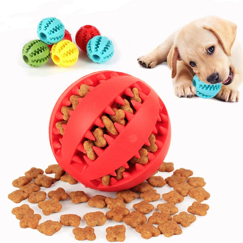 Healthy Dog Dental Chew Toy Ball - Befez