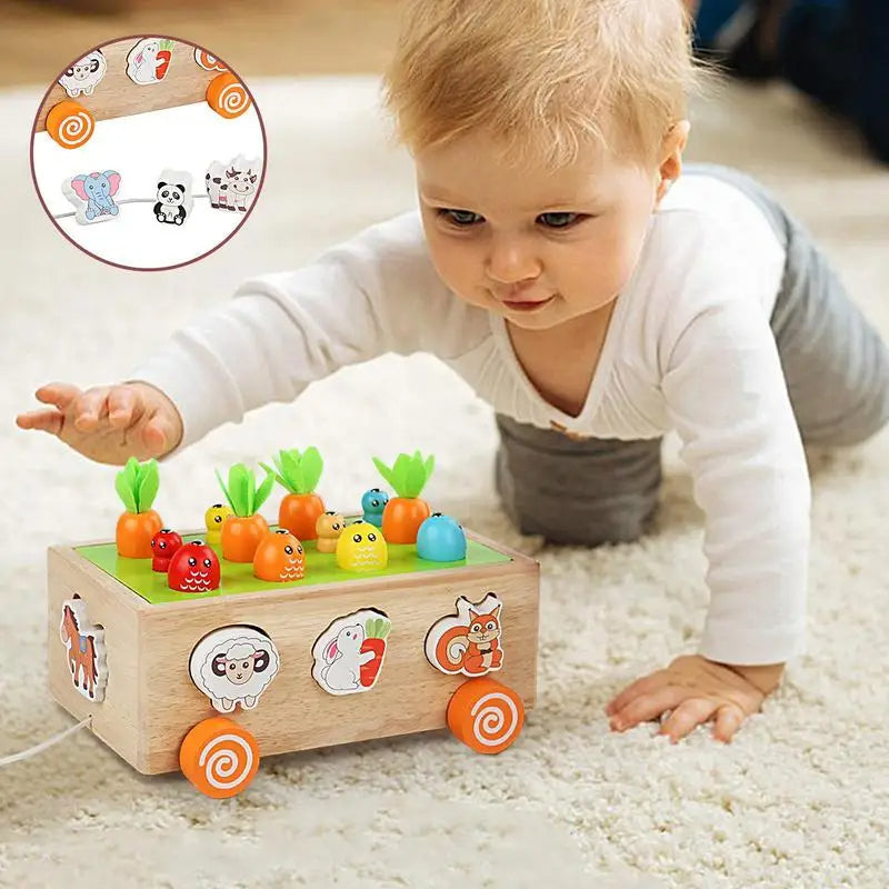 Educational Wooden Toy for Kids Development - Befez