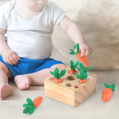 Educational Wooden Toy for Kids Development