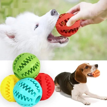 Healthy Dog Dental Chew Toy Ball