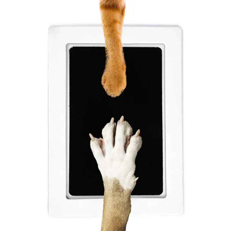 Personalized Pet Paw Print Ornament Set