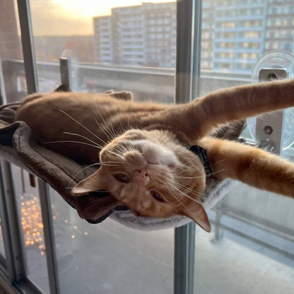 Foldable Cat Window Perch with Easy Mount