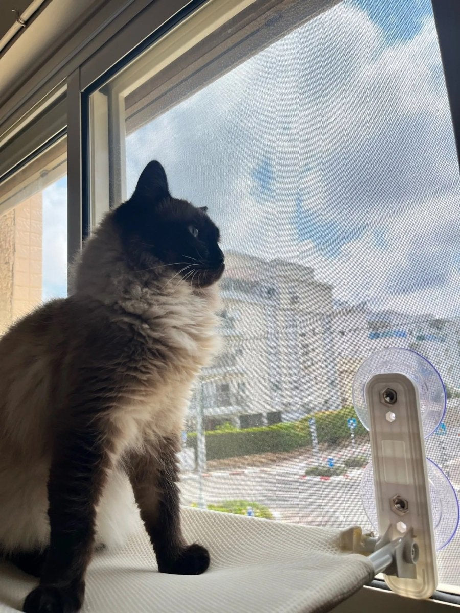 Foldable Cat Window Perch with Easy Mount