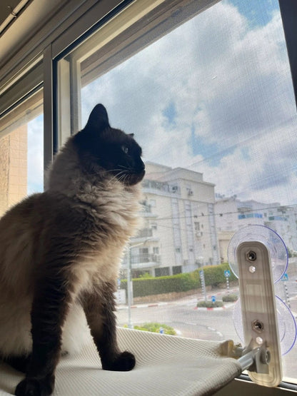 Foldable Cat Window Perch with Easy Mount