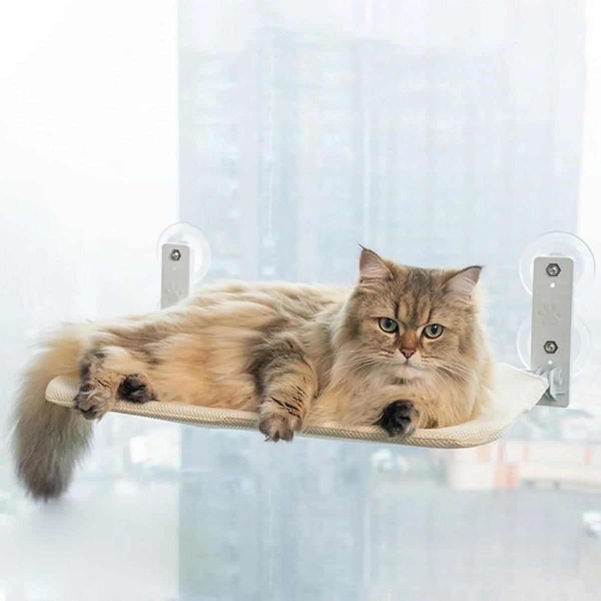 Foldable Cat Window Perch with Easy Mount