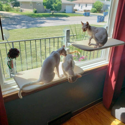 Foldable Cat Window Perch with Easy Mount