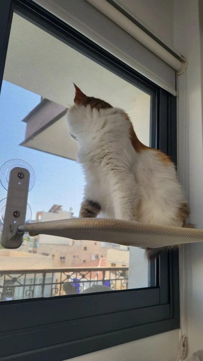 Foldable Cat Window Perch with Easy Mount