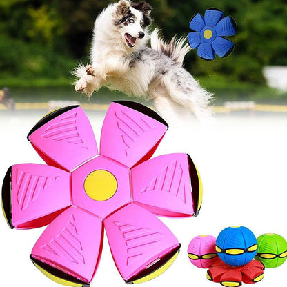 Fast Pet Flying Disc Toy