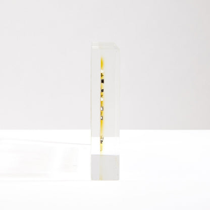 Befez | Authentic Element Periodic Table Display