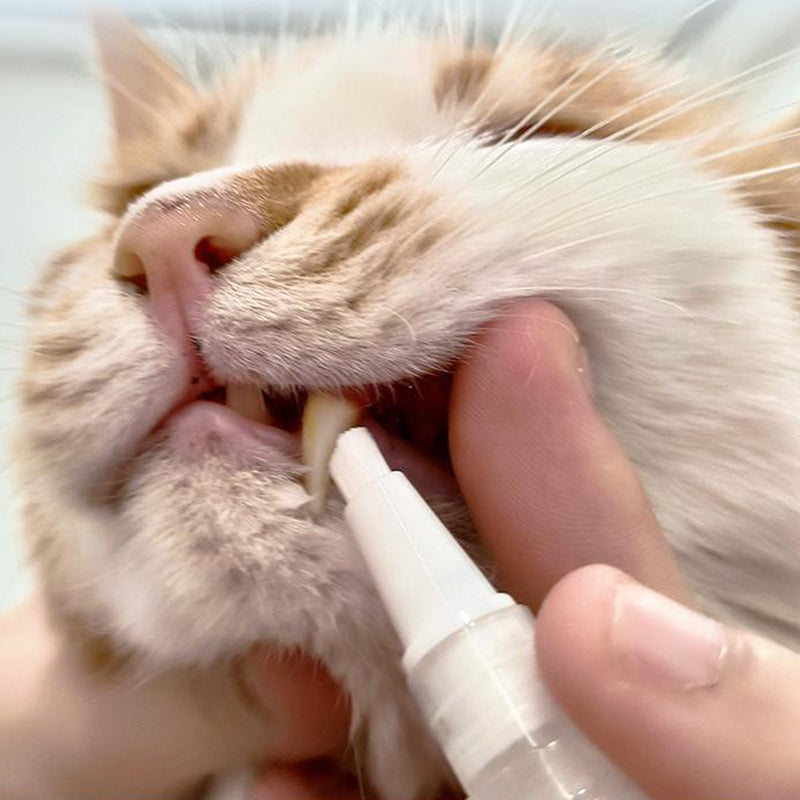 Pet Dental Brush Pen