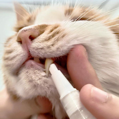 Pet Dental Brush Pen