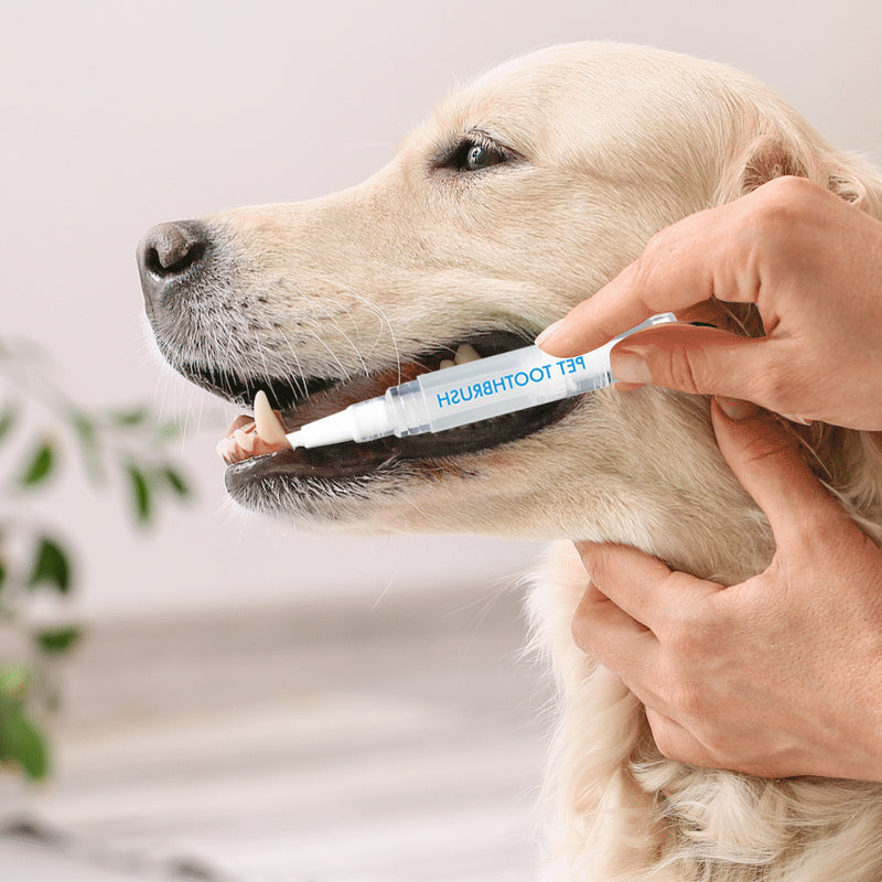 Pet Dental Brush Pen