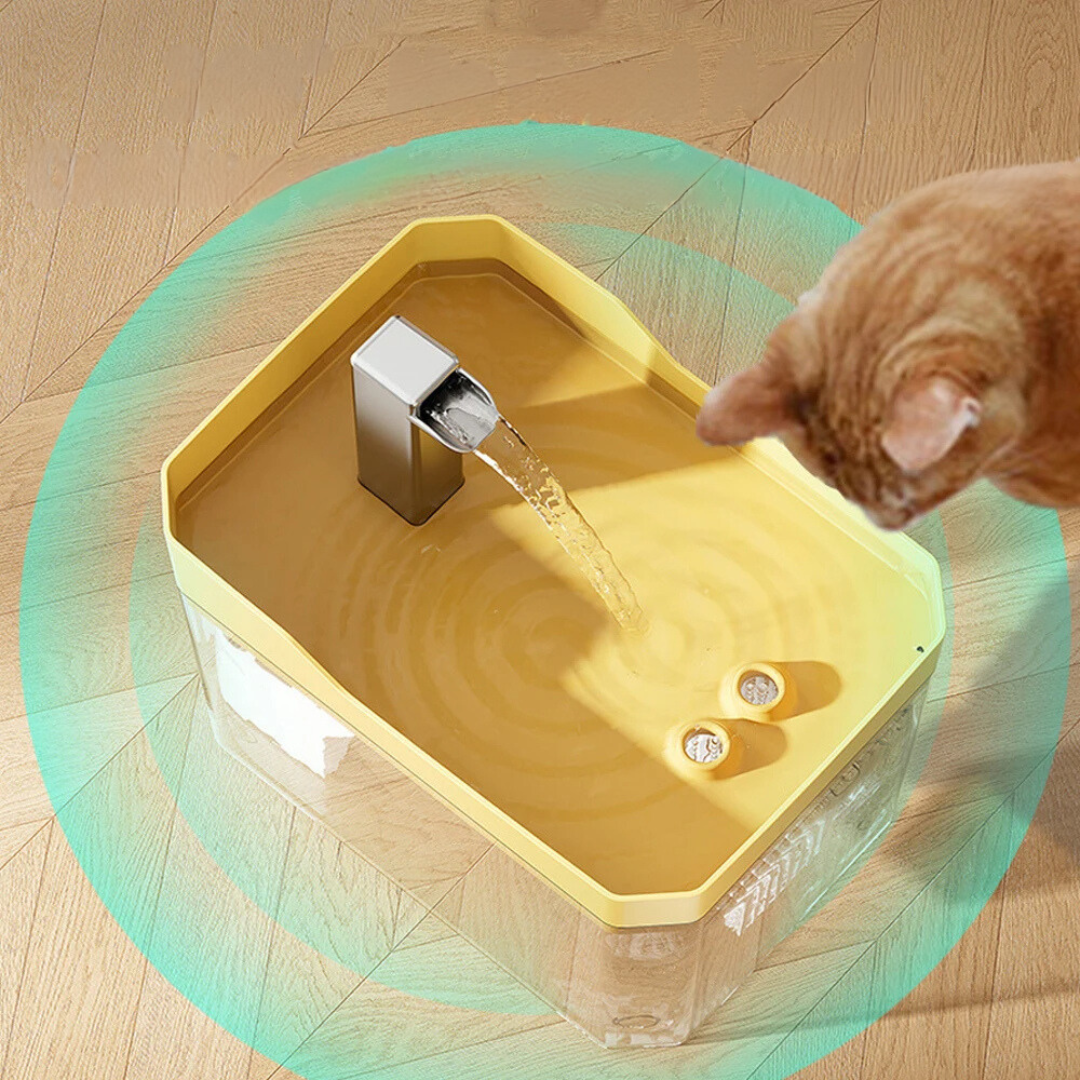 Clean Automatic Pet Water Fountain