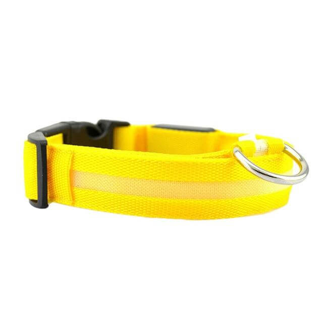 Glowing Pet LED Safety Collar