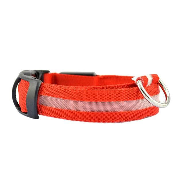 Glowing Pet LED Safety Collar