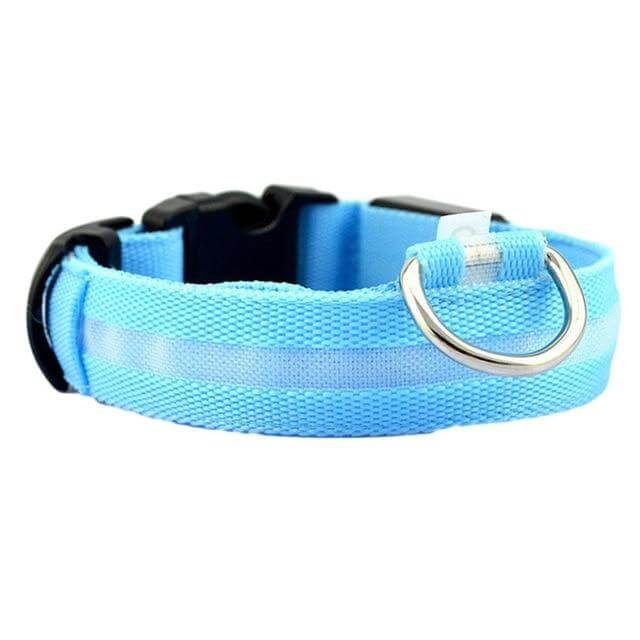 Glowing Pet LED Safety Collar
