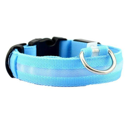 Glowing Pet LED Safety Collar
