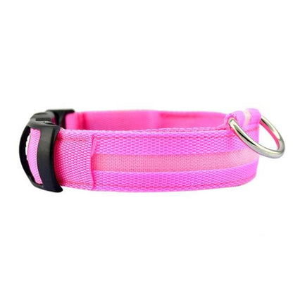Glowing Pet LED Safety Collar