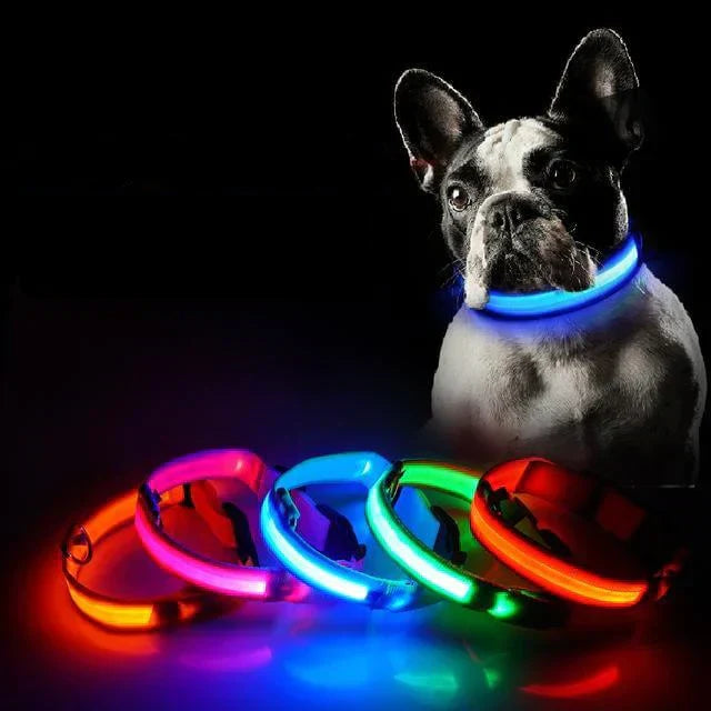 Glowing Pet LED Safety Collar