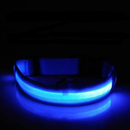 Glowing Pet LED Safety Collar