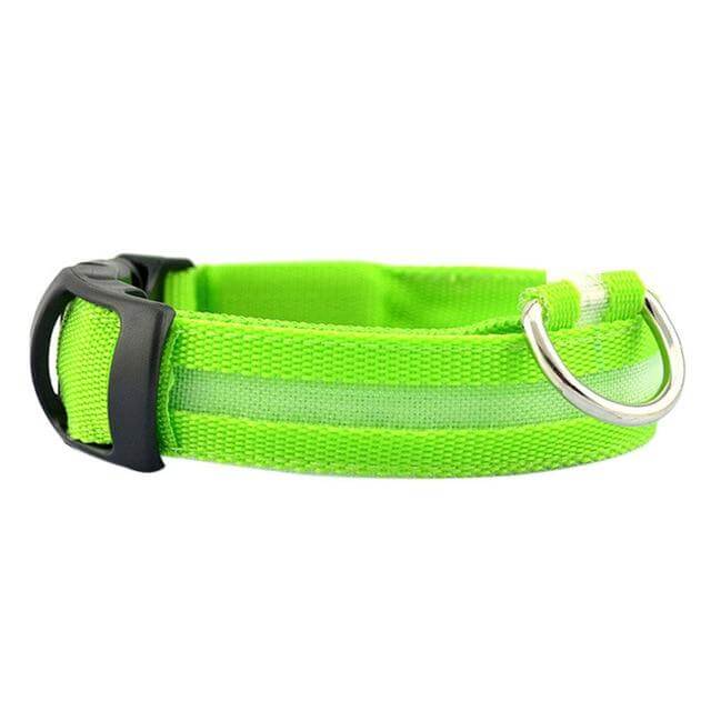 Glowing Pet LED Safety Collar