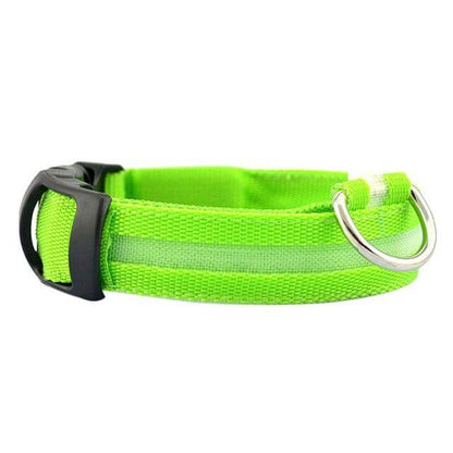 Glowing Pet LED Safety Collar