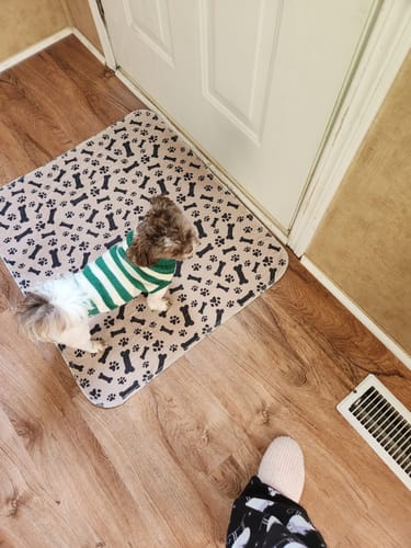 Waterproof Pet Bed Mat