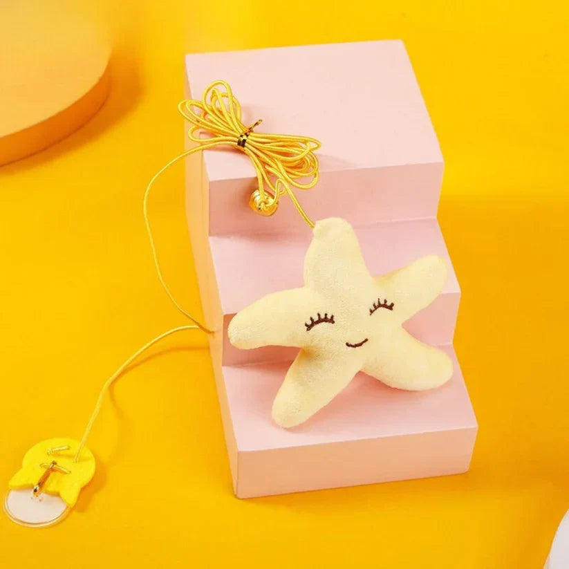 Fun Interactive Cat Teaser Toy