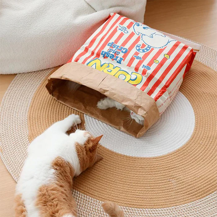 Fun Cat Play Cardboard Box Toy