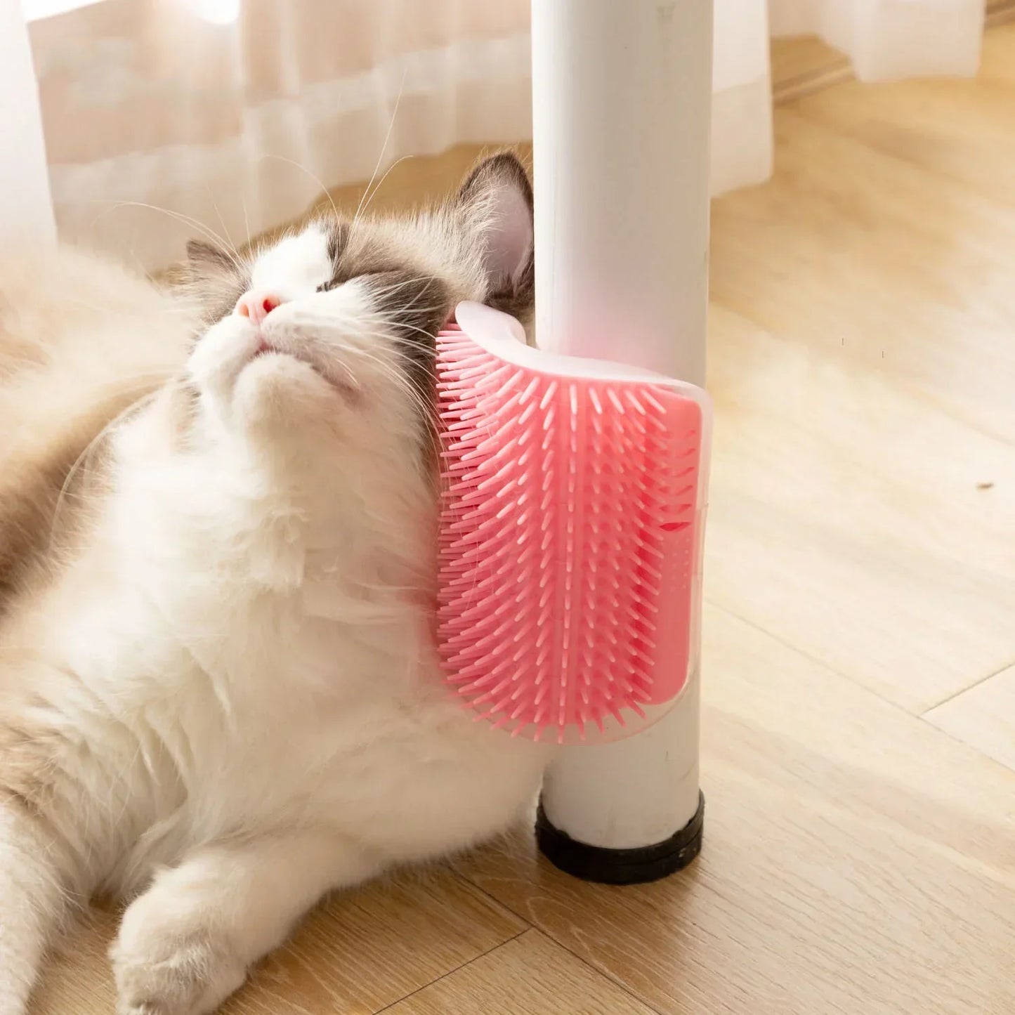 Pet Grooming Cat Wall Brush with Catnip - Befez
