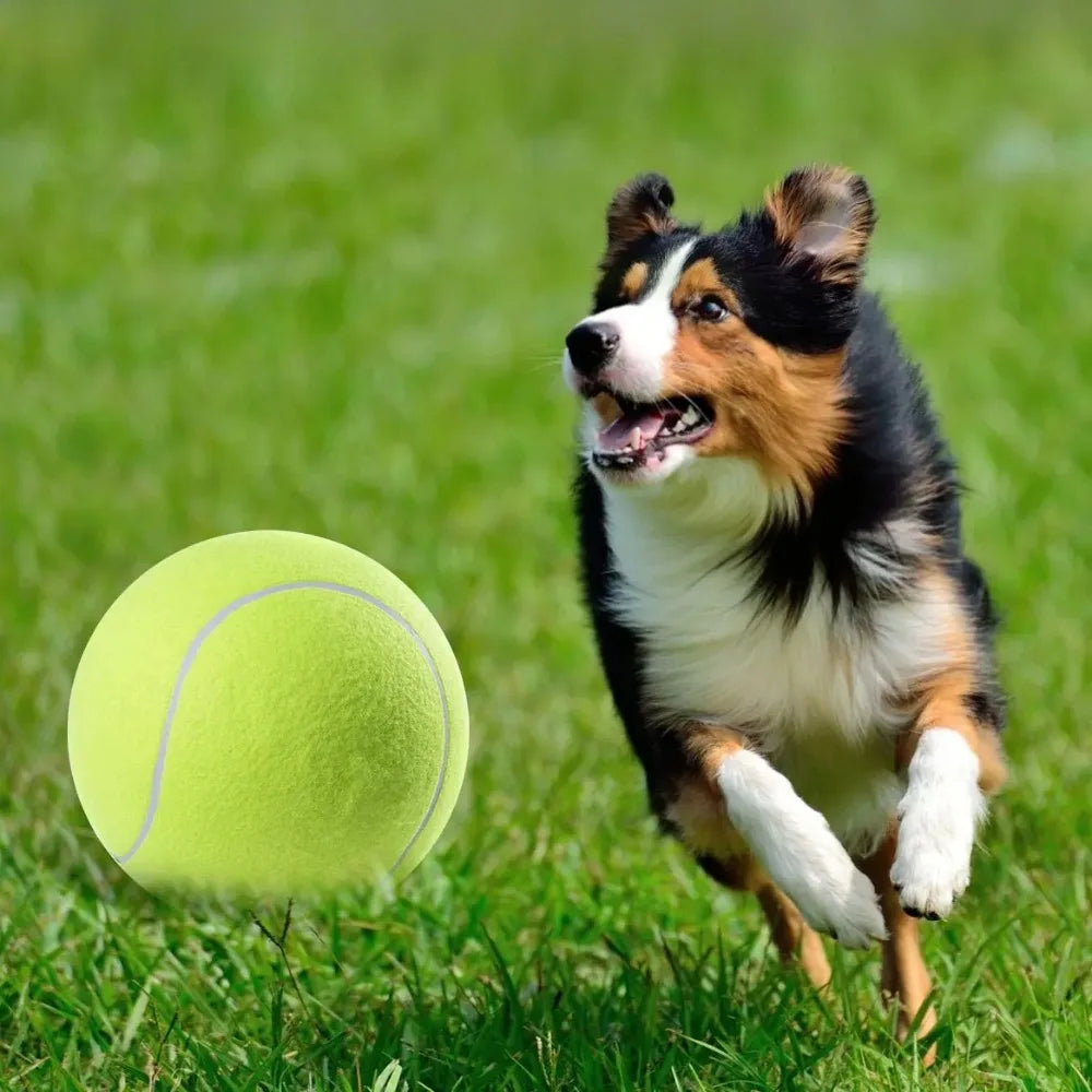 Large Rubber Dog Tennis Ball Toy - Befez
