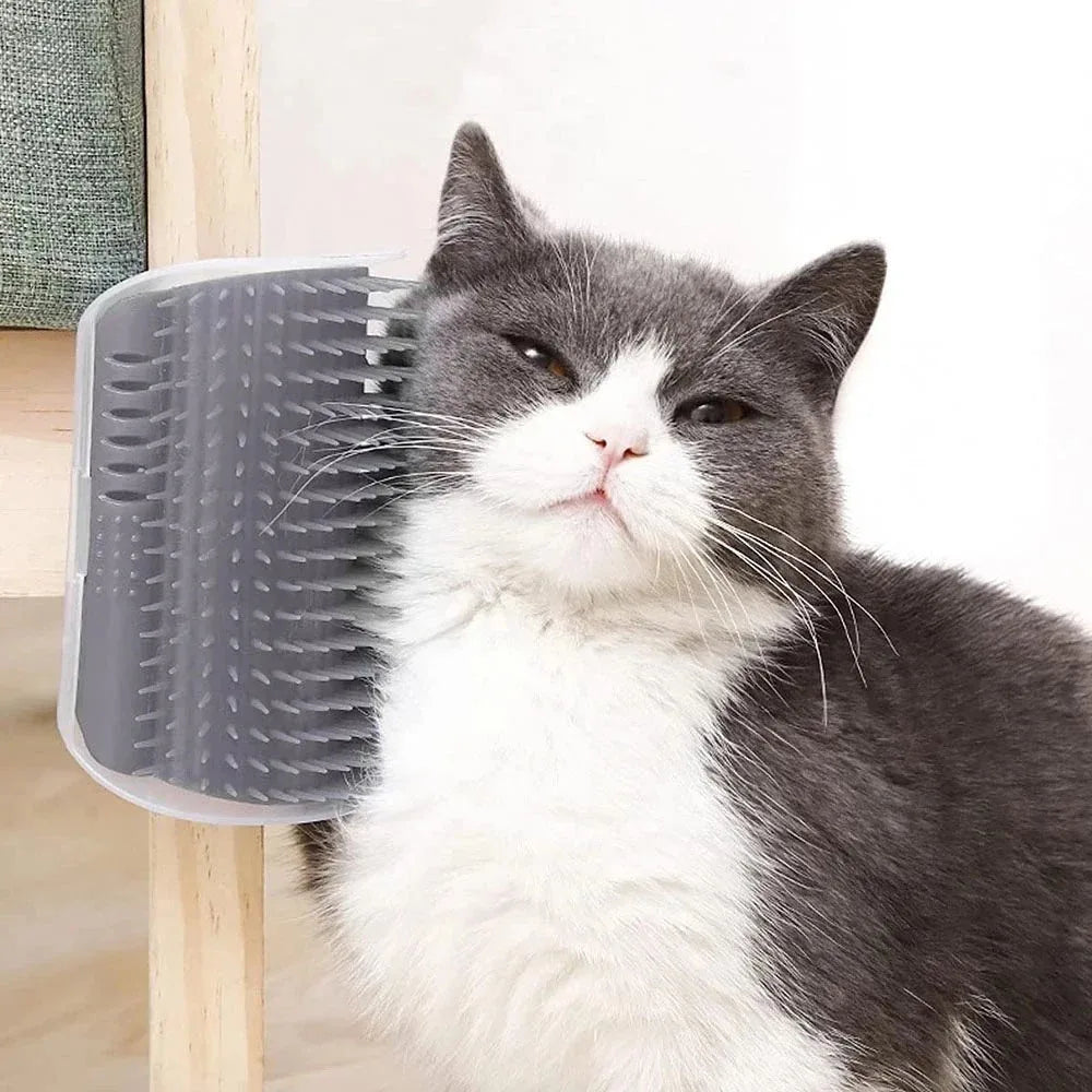 Pet Grooming Cat Wall Brush with Catnip