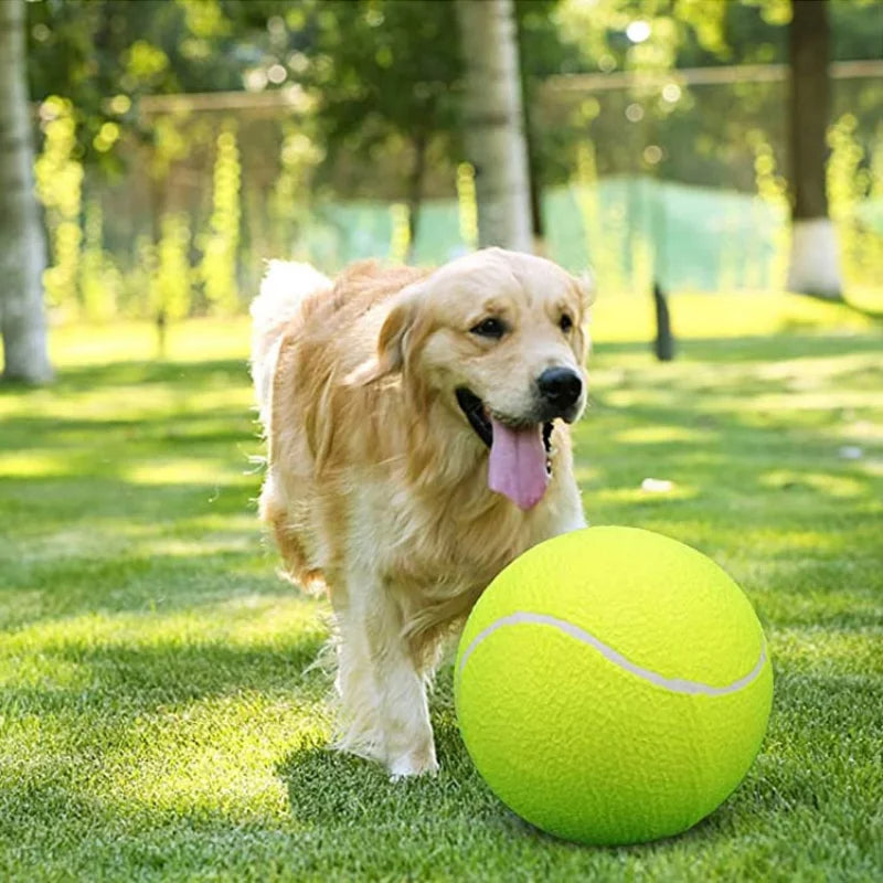 Large Rubber Dog Tennis Ball Toy